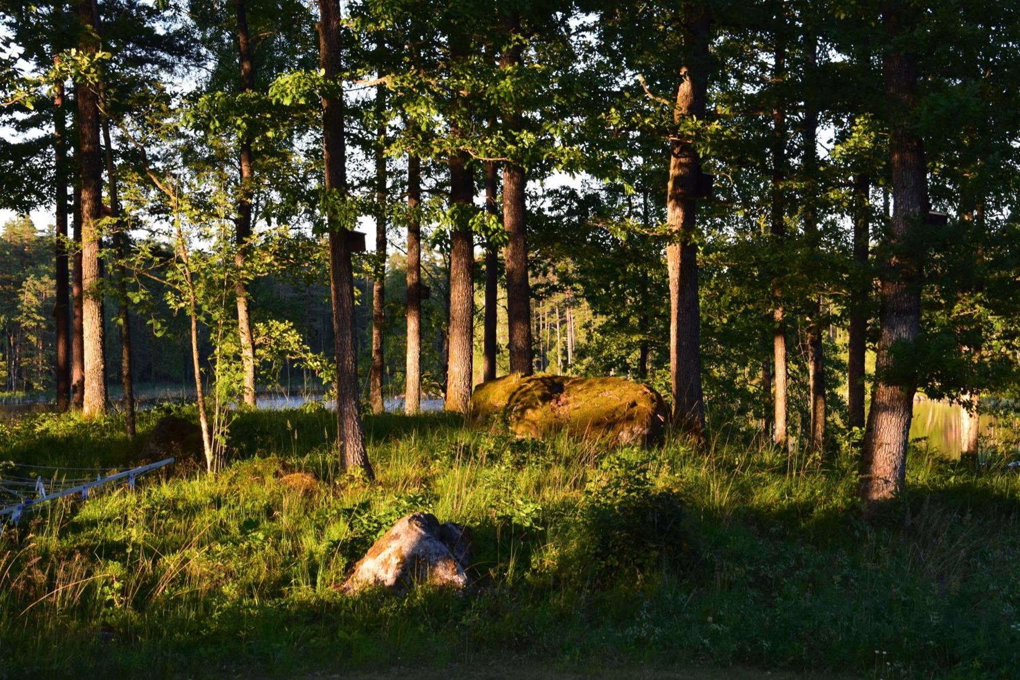 Aengsstugan Urshult Exteriér fotografie