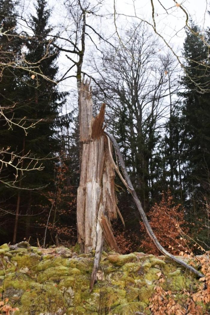 Aengsstugan Urshult Exteriér fotografie
