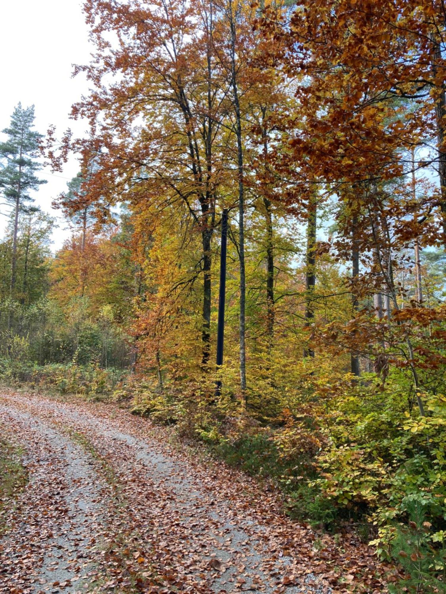 Aengsstugan Urshult Exteriér fotografie